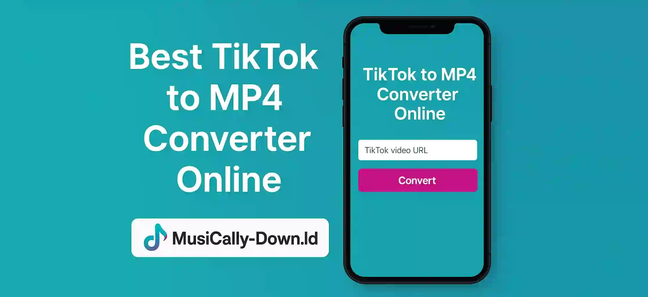 Best TikTok to MP4 Converter Online