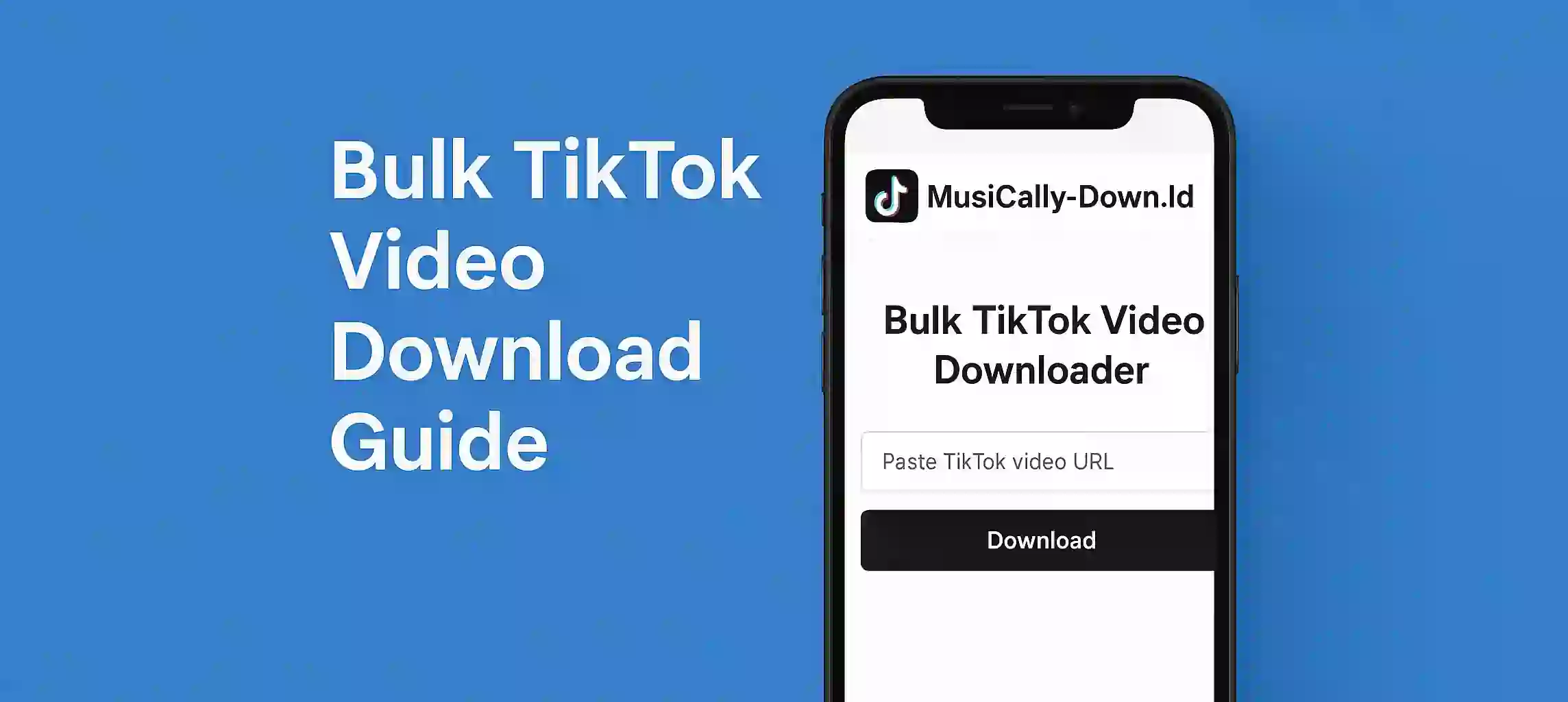 Bulk TikTok Video Download Guide