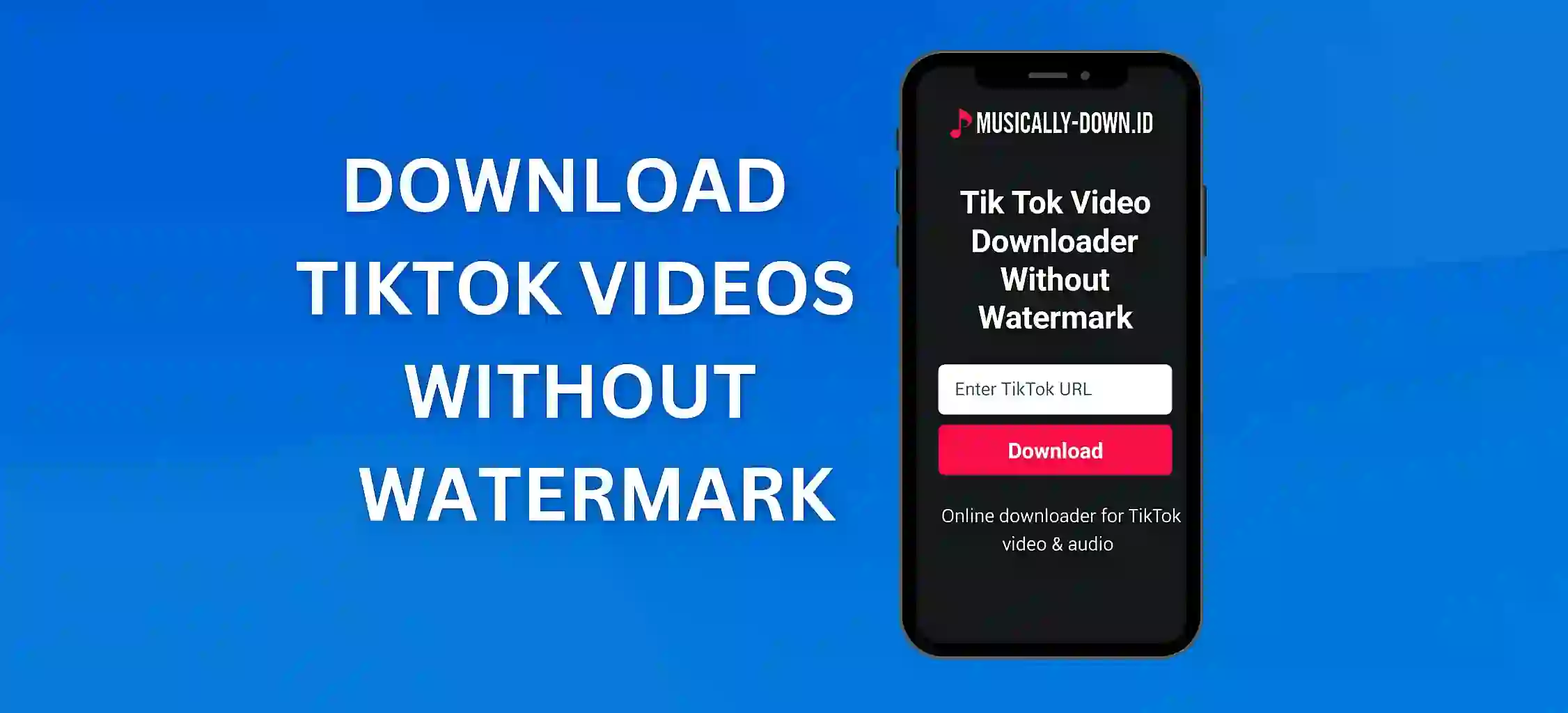 Download TikTok Videos Without Watermark